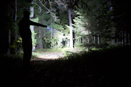 P7 test